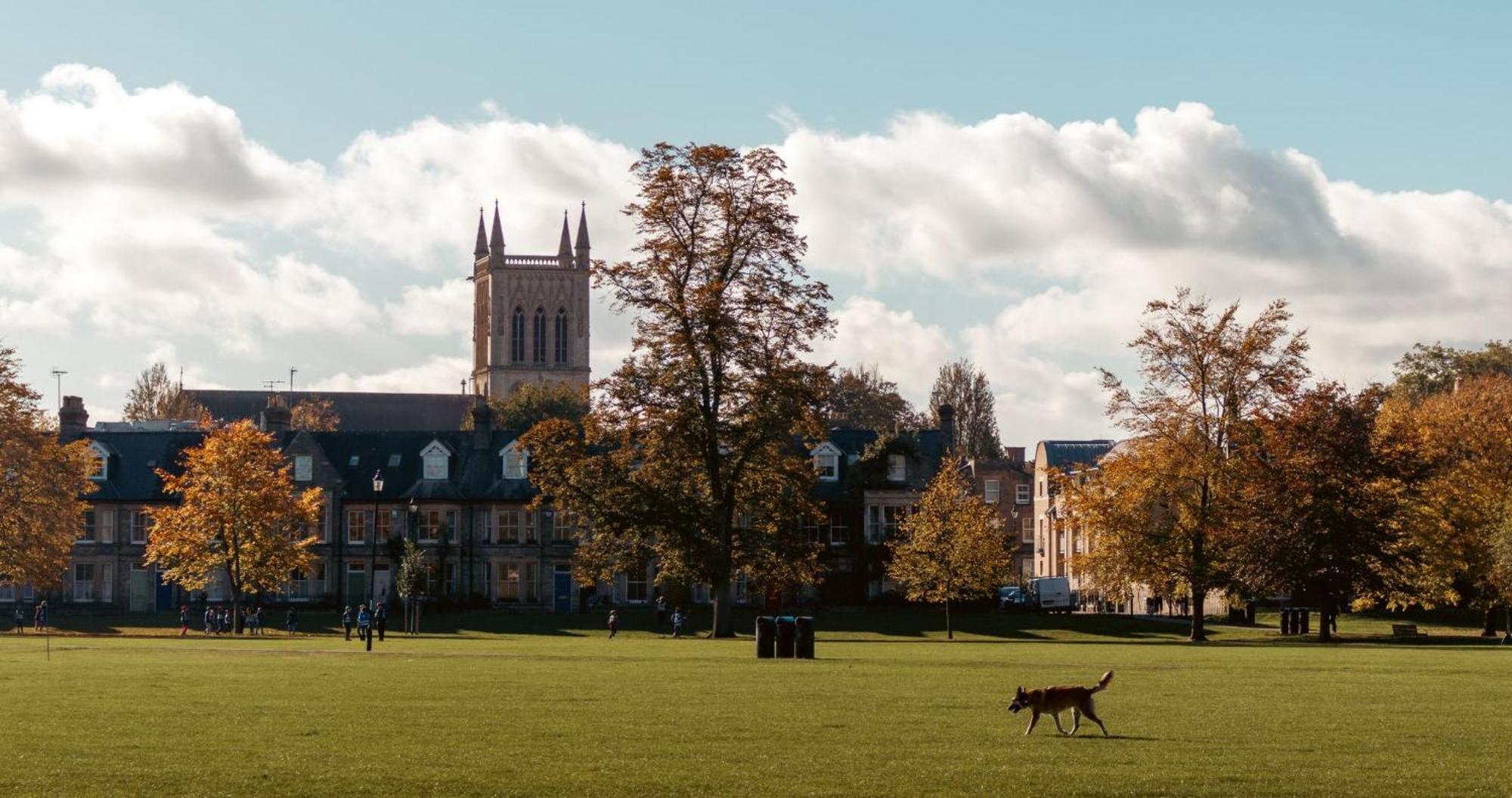 Cambridge Stays - Apartment At Addenbrooke Hospital And Bio Campus - Free Private Parking Екстериор снимка